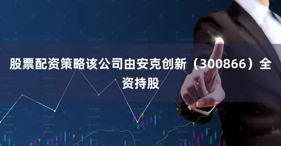 股票配资策略该公司由安克创新（300866）全资持股
