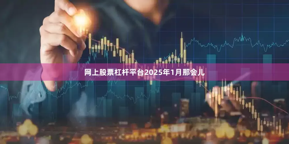 网上股票杠杆平台2025年1月那会儿